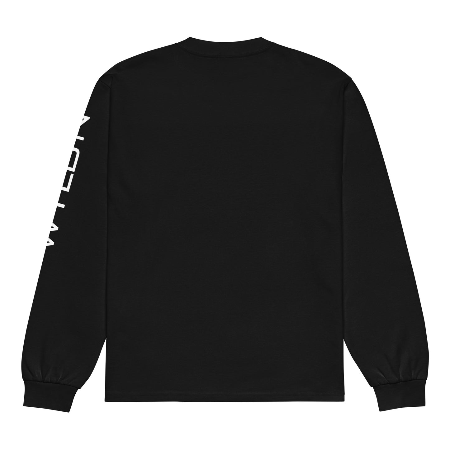 (YOU MISSED) heavyweight long sleeve shirt
